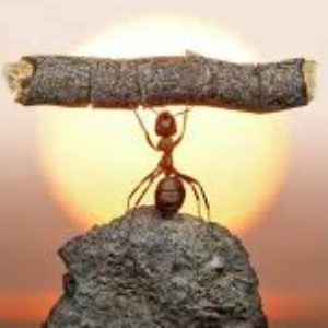 Profile photo of Jason Bartos